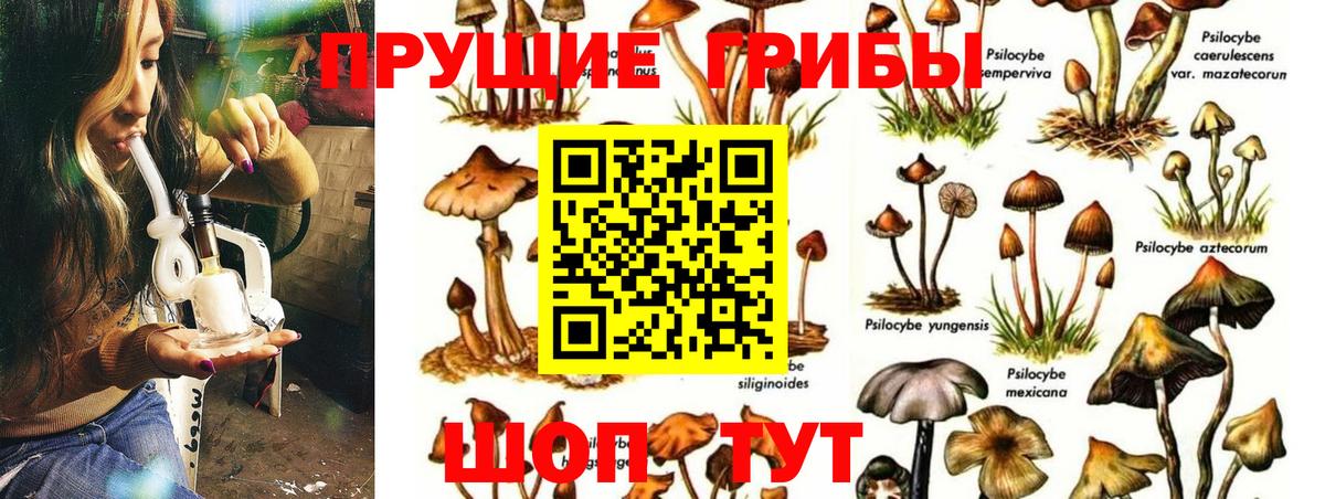 Кумертау  Псилоцибиновые грибы ЛСД  магазин  наркотиков  Вход с VPN 